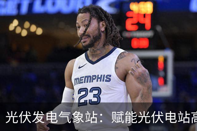 光伏发电气象站：赋能光伏电站高效运行的监测伙伴